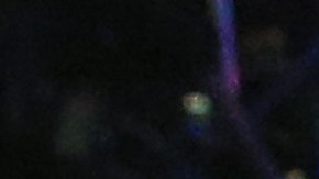 Adrien Broner retó a su promotor Floyd Mayweather.