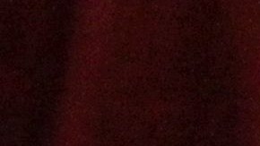 Freddie Roach y Manny Pacquiao durante la conferencia de prensa previa a la pelea con Bradley.