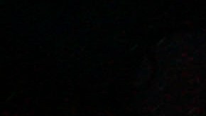 Prince obligaba a sus visitas a poner dinero en un tarro si pronunciaban alguna palabrota en su presencia.