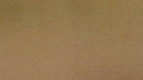 Dee Gordon debutó en Grandes Ligas con los Dodgers.