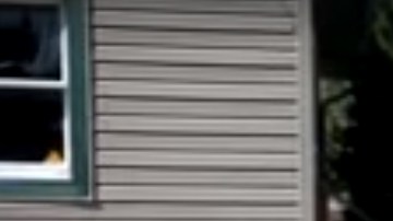 Hilde Lysiak empezó su periódico "Orange Street News" a la edad de 7 años.