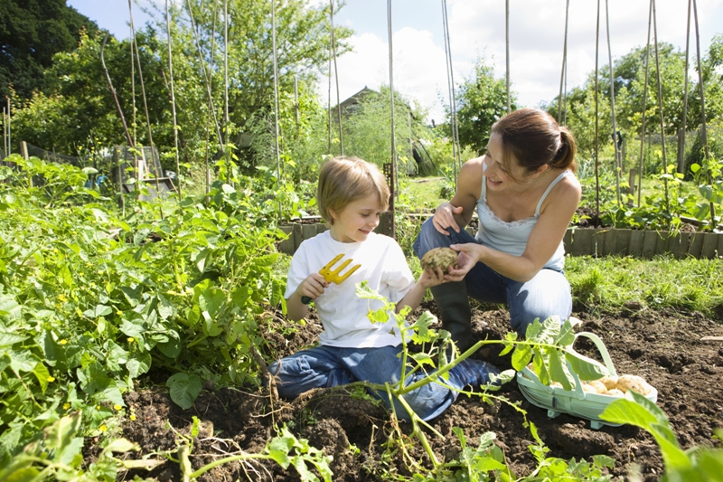 Los Jardines de la Victoria y los huertos particulares ayudan a oxigenar el aire de las comunidades en las grandes urbes.