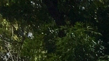 El concejal José Huizar junto con la concejal Nury Martínez lograron que se aprobaron una ordenanza para que los vecinos de Boyle Heights, Pacoima-Sun Valley y Wilmington puedan respirar aire más puro. (Araceli Martínez/La Opinión).