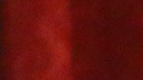 Melissa Fitzgerald, actriz de la serie "The West Wing".