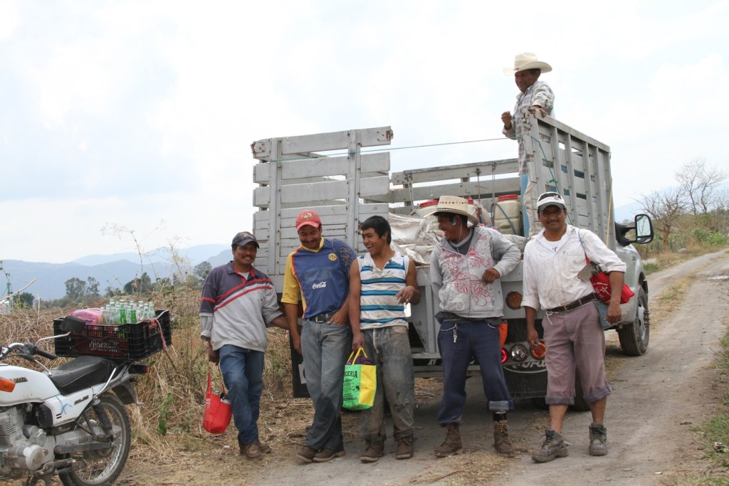 Jornaleros del municipio de Pilcaya