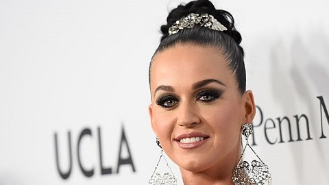 No importa los millones de dólares que le cueste, Katy Perry quiere comprar un convento.