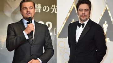 Los actores Leonardo DiCaprio y Benicio del Toro serán los responsables, en diferentes capacidades, de contar la esperada historia cubana en "The Corporation".