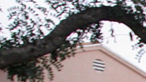 shooting in Long Beach