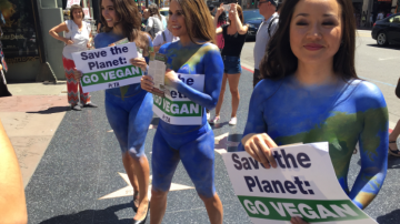 PETA pinto a cinco mujeres como "Madre Tierra" para expandir su mensaje de una dieta vegetariana en Hollywood. /SUMINISTRADA