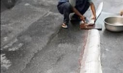 Los habitantes se repartieron el pescado.