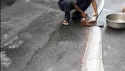 Los habitantes se repartieron el pescado.