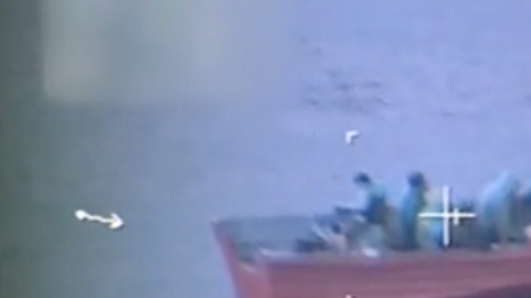 Al menos 17 personas fueron detenidas en la costa de San Diego.