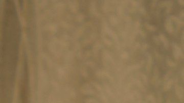 A nivel nacional, según un análisis del Censo, alrededor del 21% de los adultos (no hay diferenciación entre grupos étnicos) de 65 años o más viven solos.