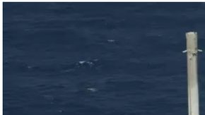 La primera etapa del Falcon 9 acaba de aterrizar en la barcaza en esta foto.