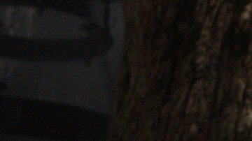 'The BFG', de Steven Spielberg, en su regreso al cine fantástico, es uno de los filmes más esperados de la nueva temporada.