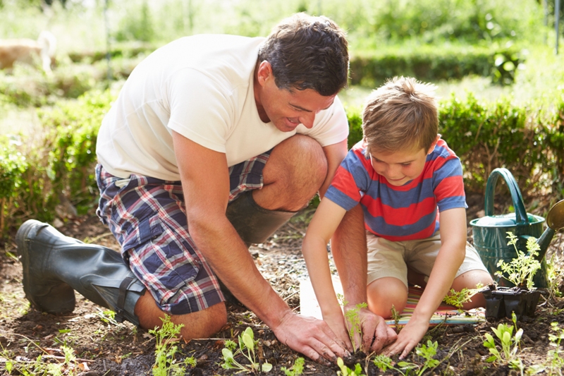 Cultiva con tus hijos algunas de las verduras del consumo diario. Si no tienes patio ni jardín, lo puedes hacer en una macetera. 