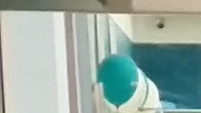 La organización nacional Voto Latino estará registrando votantes en las tiendas La Curacao, en conciertos de artistas latinos y en programas con numerosas empresas.