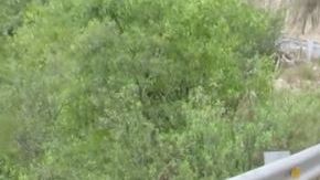 En su nuevo video, Yanet García recomienda hacer sentadillas antes de una sesión o un evento, para lucir mejor en las fotos.