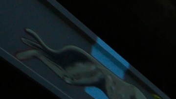 La figura y la retórica de Donald Trump fue el gran villano de las marchas de este Primero de Mayo en Los Ángeles/ Foto: AURELIA VENTURA