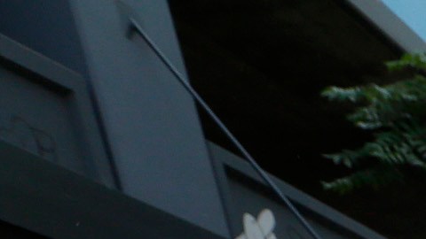 Las críticas hacia Donald Trump dominaron el mensaje de las manifestaciones que recorrieron el centro de Los Ángeles. /Foto: AURELIA VENTURA/ LA OPINION