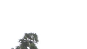 Los megaproyectos son parte de la gentrificación aprobada por la ciudad de Los Ángeles. /Aurelia Ventura