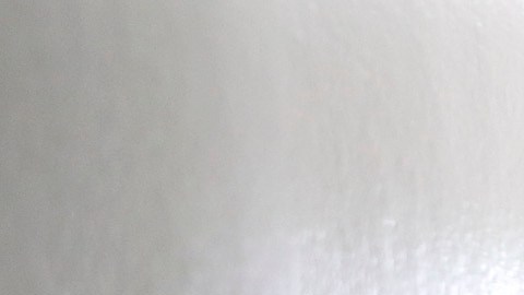 Las medidas buscan proteger a los inquilinos de renteros sin escrúpulos que puedan amenazarlos con reportarlos a inmigración. (Aurelia Ventura)