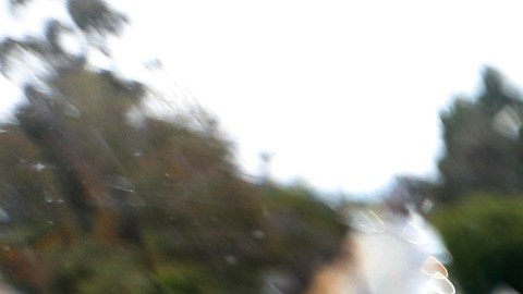 Se espera que el tren ayude a descongestionar la autopista 10.