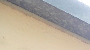 Ayuntamiento de la ciudad de Cudahy.  (Aurelia Ventura)