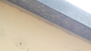 Ayuntamiento de la ciudad de Cudahy.  (Aurelia Ventura)