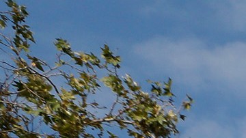 Cada fin de semana se reúnen cientos de familias latinas para disfrutar de lo tradicional mexicano en el Hansen Dam.