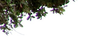 La Línea Metro Expo a Santa Monica empezó a operar el 20 de mayo.