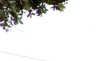 La Línea Metro Expo a Santa Monica empezó a operar el 20 de mayo.