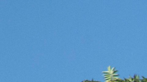 El bulevar Van Nuys verá numerosos cambios a partir de este verano.