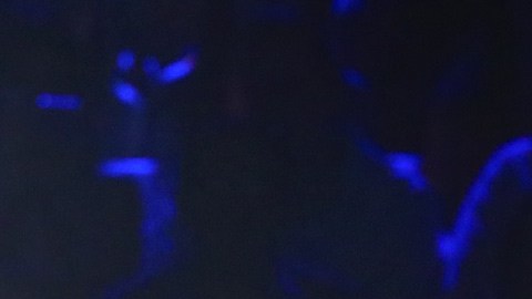 Alejandro Fernández