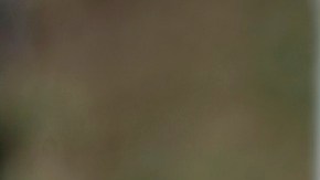 Alan Pulido en el centro del huracán.