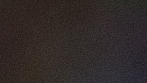 Luis Gallegos festeja un gol del Necaxa.