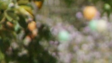 Los estudiantes indocumentados en California también pueden recibir ayuda financiera.