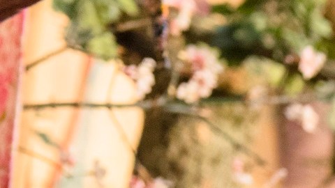 ‘Alice Through the Looking Glass’, con Johnny Depp, es uno de los filmes que Disney estrenará en breve y se espera sea otro éxito.