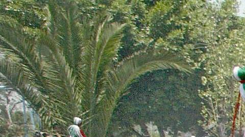 Actores representan la Batallla de Puebla en el estado mexicano. /GETTY IMAGES