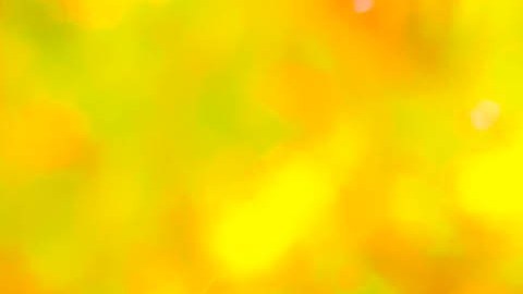 Los californianos han ahorrado más en octubre que en septiembre, pero menos que el mismo mes del año pasado.