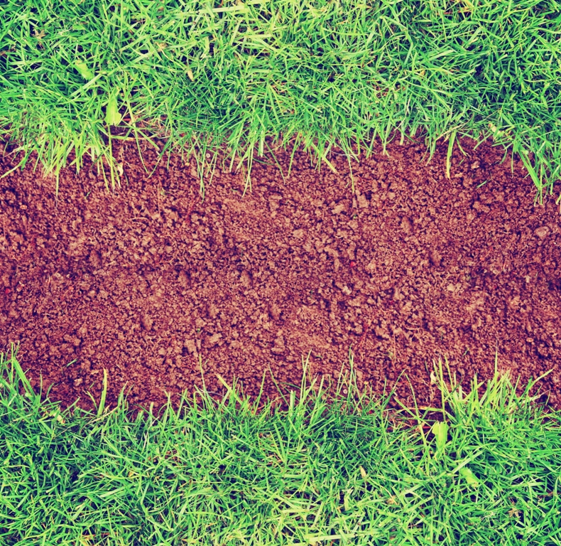 Un césped verde con poca agua | La Opinión