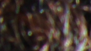 El Festival de Cinco de Mayo de San Francisco regresa al corazón del distrito de La Misión este sábado 7 de mayo.