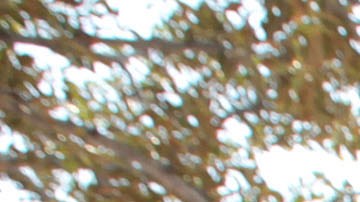 Celebra México este Cinco de Mayo a lo largo y ancho de Los Ángeles.