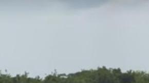 Los testigos dudaban de la autenticidad del ejemplar por su descomunal tamaño.