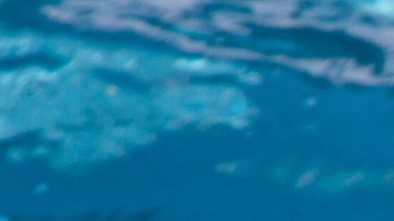 Aunque el niño esté en la piscina con los flotadores de brazos y el de forma de dona, éste no está seguro.