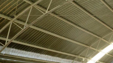 El equipo de Frutos con Sabor a México.