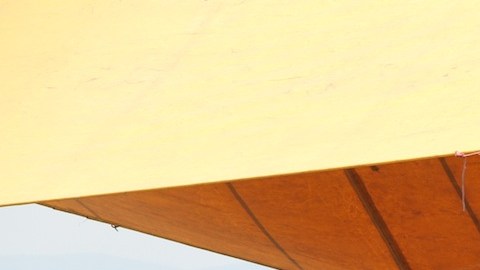 El predio donde sacan los cuerpos  en Morelos.