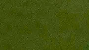 Mexico vs Estrellas de FIFA