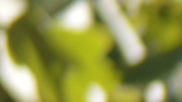 Cuando no está en la cancha, Evair trabaja como empacador en una bodega.