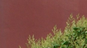 Conocidos como ‘Los Cinco de Frisco’, los luchadores sociales en huelga de hambre exigen que el Jefe de Policía del Departamento de Policía de San Francisco Greg Suhr renuncie o sea despedido.